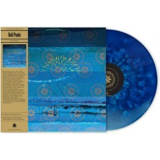 GOLD PANDA-LUCKY SHINER -COLOURED- (LP)