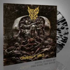 DEFEATED SANITY-CHRONICLES OF LUNACY -COLOURED/LTD- (LP)