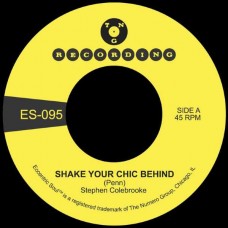 STEPHEN COLEBROOKE-SHAKE YOUR CHIC BEHIND (7")