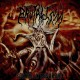 BRUTALISM-SOLACE IN ABSURDITY (CD)