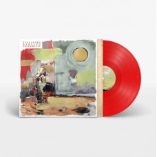 VILLAGERS-DARLING ARITHMETIC -COLOURED- (LP)