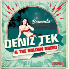 DENIZ TEK & THE GOLDEN BREED-BERMUDA (7")