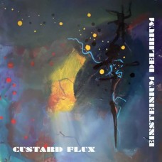 CUSTARD FLUX-EINSTEINIUM DELIRIUM (CD)