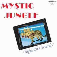 MYSTIC JUNGLE-NIGHT OF CHEETAH (LP)