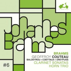 GEOFFROY COUTEAU-JOHANNES BRAHMS: CLARINET SONATAS, HORN TRIO (CD)