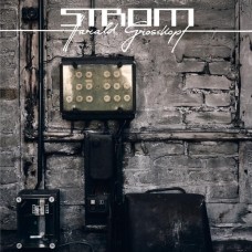 HARALD GROSSKOPF-STROM (LP)