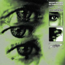 KNIVES-WHAT WE SEE IN THEIR EYES (12")