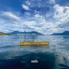 ODDGEIR BERG TRIO-A PLACE CALLED HOME (CD)