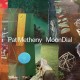 PAT METHENY-MOONDIAL (CD)