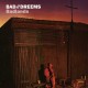 BAD DREEMS-BADLANDS (LP)