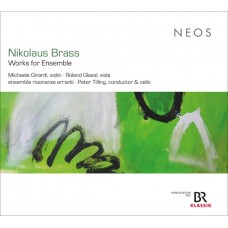 ENSEMBLE RISONANZE ERRANTI/PETER TILLING/MICHAELA GIRARDI/ROLAND GLASSL-NIKOLAUS BRASS: WORKS FOR ENSEMBLE (CD)