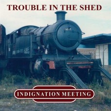 INDIGNATION MEETING-TROUBLE IN THE SHED -COLOURED- (LP)