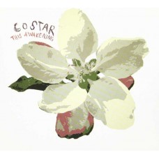 COSTAR-THIS AWAKENING (CD)