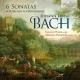 SUSANNA PISANA & MAURIZIO PACIARIELLO-JOHANN ERNST BACH: 6 SONATAS FOR VIOLIN & FORTEPIANO (CD)