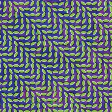 ANIMAL COLLECTIVE-MERRIWEATHER POST PAVILLI (CD)