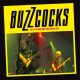 BUZZCOCKS-LIVE AT THE SHEPHERDS EMPIRE (2LP+DVD)