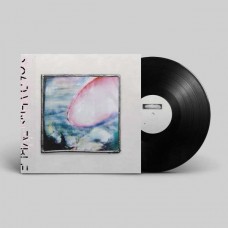 CICADA ENSEMBLE-MURMURATION CLIP (12")