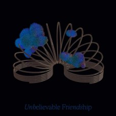 FILIP MISEK-UNBELIEVABLE FRIENDSHIP (LP)