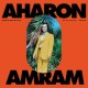 AHARON AMRAM-SOUNDS OF YEMEN (1962-1987) (2LP)