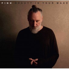 FINK-BEAUTY IN YOUR WAKE (CD)