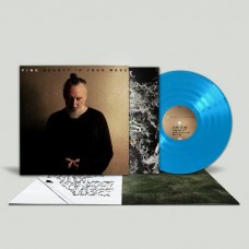 FINK-BEAUTY IN YOUR WAKE -COLOURED- (LP)