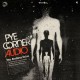 PYE CORNER AUDIO-THE ENDLESS ECHO (CD)