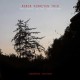 ROBIN VERHEYEN TRIO-ZABONPRES SESSIONS (CD)