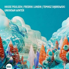 HASSE POULSEN/FREDERIK LUNDIN/TOMASZ DABROWSKI-UNKNOWN WINTER (CD)