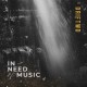 DRIFTWD-IN NEED OF MUSIC (LP)