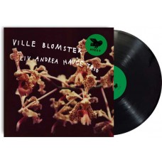 LIV ANDREA HAUGE TRIO-VILLE BLOMSTER (LP)