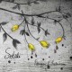 PETTERSSON & FREDRIKSSON-SOTALI (CD)