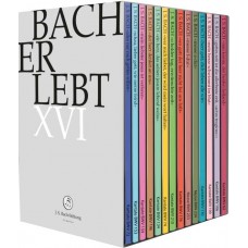 CHOIR & ORCHESTRA OF THE J.S. BACH FOUNDATION/RUDOLF LUTZ-BACH ERLEBT XVI (14DVD)