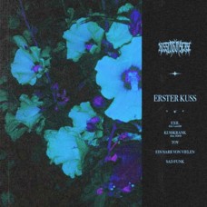 KISSING DISEASE-ERSTER KURS (LP)