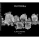 DIATHRIBA-LE NOZZE NASCOSTE -DIGI/LTD- (CD)
