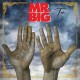 MR. BIG-TEN (CD)