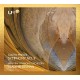 VLADIMIR DELMA & MILAN RAI SYMPHONY ORCHESTRA-GUSTAV MAHLER SYMPHONY NO. 9 IN D MAJOR (CD)