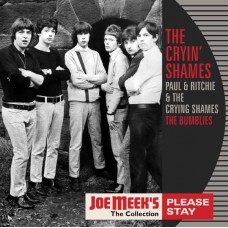 CRYIN' SHAMES-PLEASE STAY (LP)