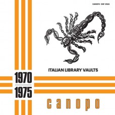 V/A-ITALIAN LIBRARY VAULTS (LP)