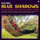B. B. KING-BLUE SHADOWS (LP)