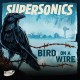 SUPERSONICS-BIRD ON A WIRE (LP)
