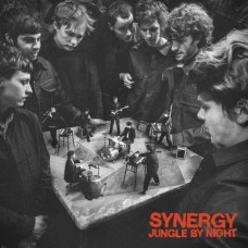 JUNGLE BY NIGHT-SYNERGY (CD)