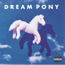 DREAM PONY-SUSPICION TODAY (LP)
