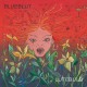 BLUEBLUT-LUTEBULB (LP)