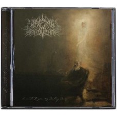 A WAKE IN PROVIDENCE-I WRITE TO YOU, MY DARLING DECAY (LP)