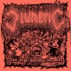 DIURETIC-ZERO DAYS WITHOUT INCIDENT (7")