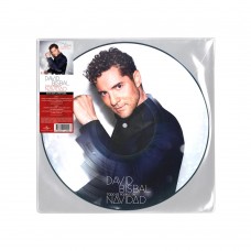 DAVID BISBAL-TODO ES POSIBLE EN NAVIDAD -PD- (LP)