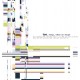 TOE-SONGS, IDEAS WE FORGOT -COLOURED- (LP)