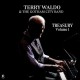 TERRY WALDO-TREASURY VOLUME 1 (LP)