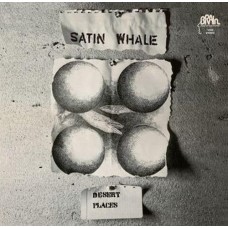 SATIN WHALE-DESERT PLACES -HQ/DELUXE- (LP)