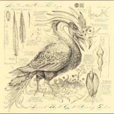 SARAH BELLE REID & VINNY GOLIA-ACCIDENTAL ORNITHOLOGY (CD)